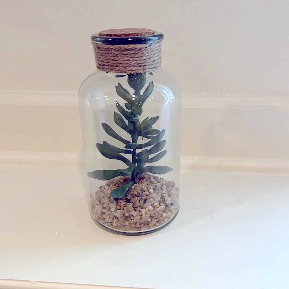 Ashland Spring house Plant Maison